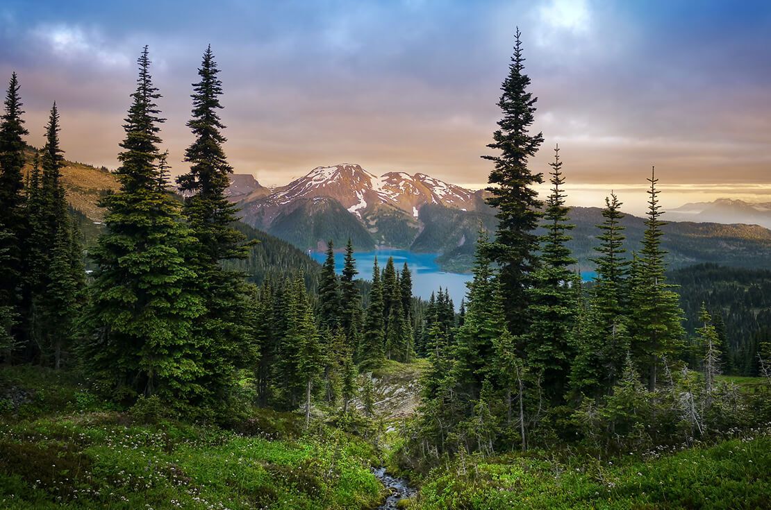 View of a mountain lake between fir trees. Mountain peaks above the lake lit by sunset rays.
